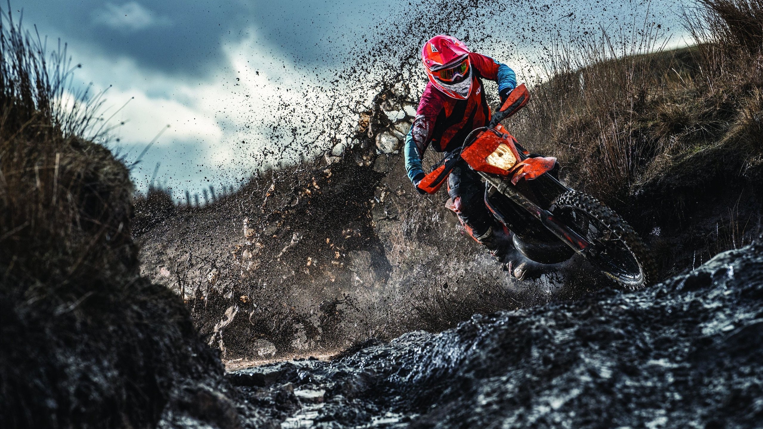 猛龙加时鏖战力克奇才，锡安末节觉醒化身关键先生